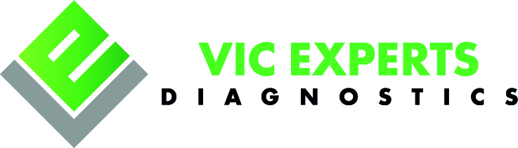 VIC EXPERTS